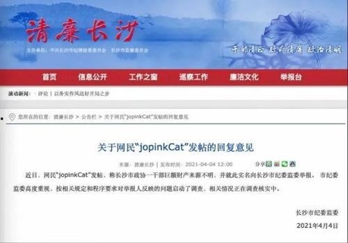 宁乡新闻爆料网最新报道,突发事件引发关注，详情即将揭晓！  第3张