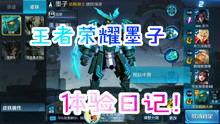 王者爆料李华视频大全集,揭秘游戏背后的精彩故事