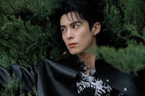 明星娱乐爆料王鹤棣是哪一期,王鹤棣惊喜亮相,揭秘哪一期精彩瞬间  第2张 明星娱乐爆料王鹤棣是哪一期,王鹤棣惊喜亮相,揭秘哪一期精彩瞬间  第2张