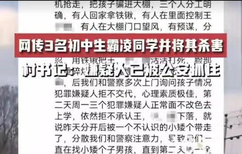 邯郸事件大爆料最新消息,揭秘背后惊人真相  第3张 邯郸事件大爆料最新消息,揭秘背后惊人真相  第3张